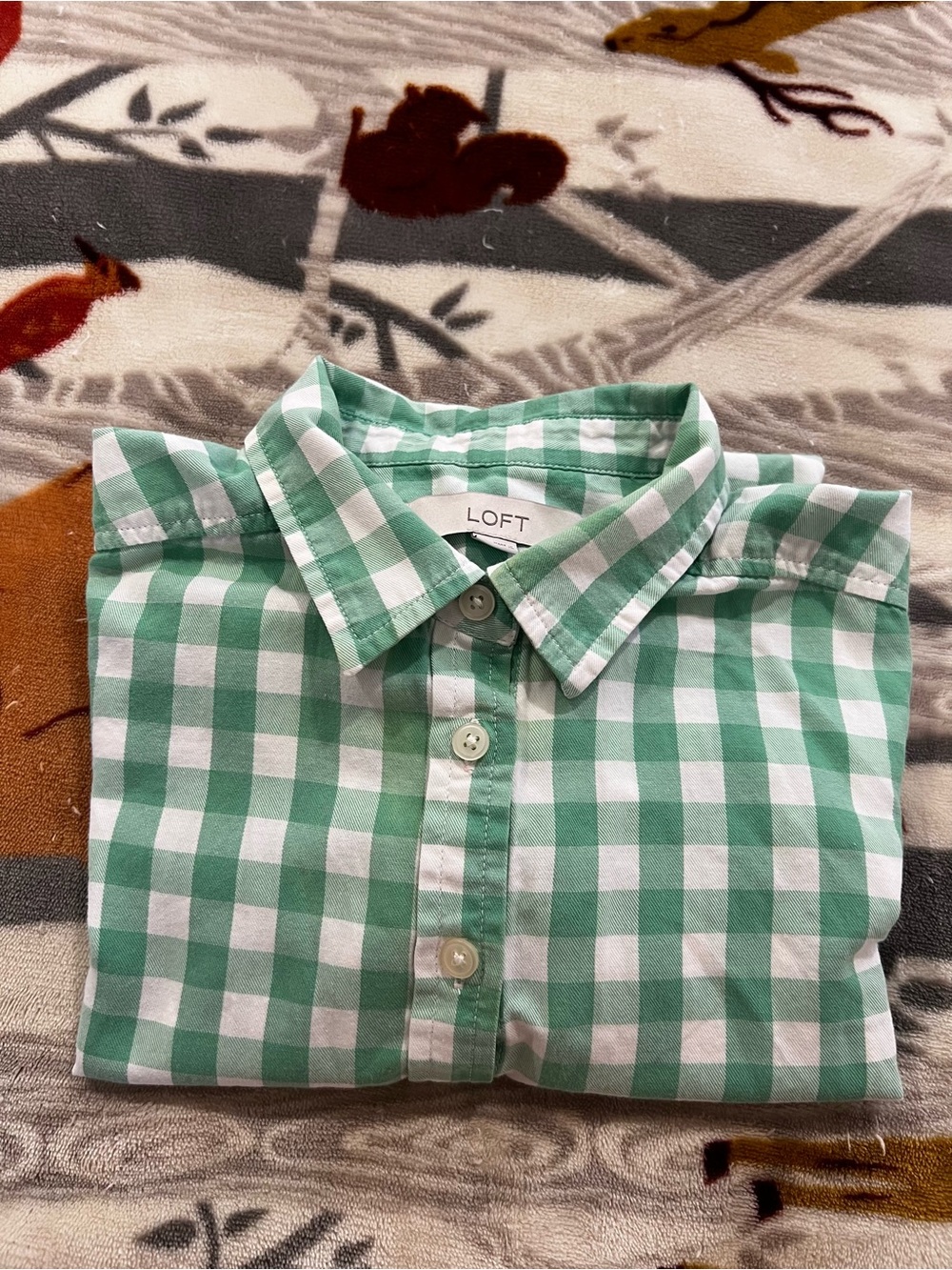 Women Green Gingham Cotton Shirt - Brand:Loft